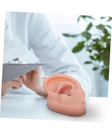 FOMIYES Silicone Human Ear Model for Piercing Teaching Display - Coffee 6.5x3.5cm - Buy Online on GoSupps.com