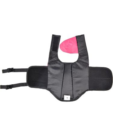 ChezAbbey Dog Life Jacket - Adjustable Safety Vest for Cats and Dogs - Rose Red X-Small - Buy Online on GoSupps.com