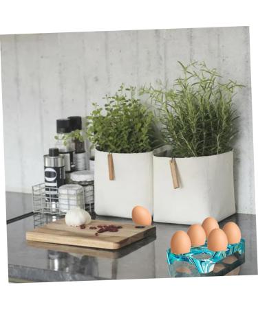 PRETYZOOM Egg Storage Rack Mold Silicone Molds Resin Molds Candle Resin DIY Mold Manual Mold Crystal Cake Mold - Buy Online on GoSupps.com