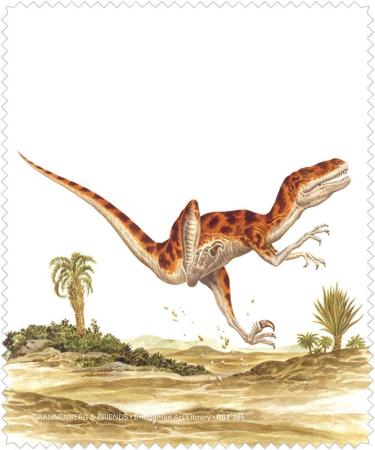 Rannenberg & Friends funny motif glasses cleaning cloth dinosaurs from the Cretaceous period