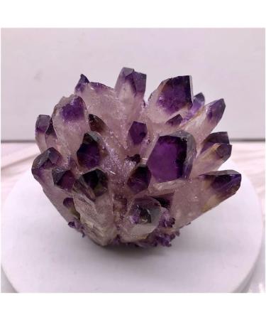 Natural Crystal Cluster Amethyst Specimen Ore Purple Reiki Stone Raw Crystals Home Decor Household (Size : 300-400g) - Buy Online on GoSupps.com