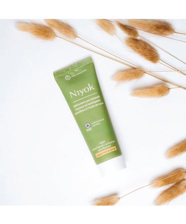 Natural Cosmetics Fluoride Free Natural Coconut Oil Toothpaste Peppermint Lemon 75 ml 3-Pack Peppermint Lemon 2.53 Fl Oz (Pack of 3) - Buy Online on GoSupps.com