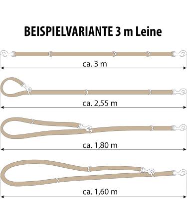 Copcopet Handmade 3-Way Adjustable Dog Leash - Soft Fat Leather Brass Fittings 3m x 12mm Brown | Premium Quality German Craftsmanship - Buy Online on GoSupps.com