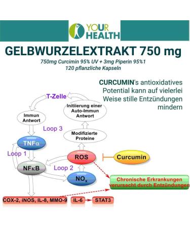 uHealth Goldenseal Extract 750 mg | Vegan Turmeric Capsules - 120 Count | Natural Preservative-Free Dietary Supplement for Immune Support - Buy Online on GoSupps.com
