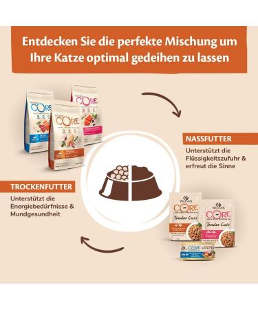 Wellness CORE Sterilised Ocean Cat Food - Grain-Free High Meat Salmon & Tuna 4 kg for Sterilized Cats - Buy Online on GoSupps.com