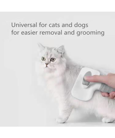 Avando Cat Dog Brush for shedding Pet Grooming Brush for Cats Dogs Massage Shedding Brush for Short or Long Hair Self Cleaning Slicker Brush Easy to Removes Loose Undercoat Tangled Hair (grey) Black - Buy Online on GoSupps.com