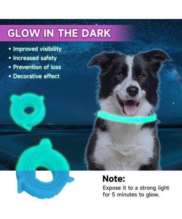 Woyamay Calming Collar for Dogs Adjustable Luminous Safety Glow Calming Dog Collar for Anxiety Relief Natural Calming Pheromone Dog Collar Lasts 60 Days Fits Small Medium Large Dog 2 Pack Blue Blue-2 Pack - Buy Online on GoSupps.com