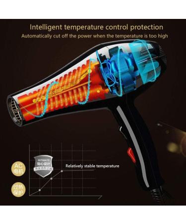 2000w Professional Salon Hair Dryer Powerful Negative Ionic Hairdryer to Protect Hair 3 Heat & 2 Speed Setting Powerful AC Motor Low Noise Blow Dryer with 2 Nozzle for Home and Salon Small Gift - Buy Online on GoSupps.com