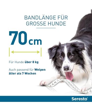 Elanco Seresto Collar for Large Dogs (8 kg+) | 7-8 Months Flea & Tick Protection | 70 cm Length - Buy Online on GoSupps.com