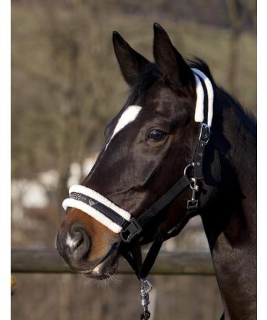 Pfiff 101515 Halter with Faux Fur Lining | Premium Horse Halter for Ponies & Cobs | International Shipping Available - Buy Online on GoSupps.com