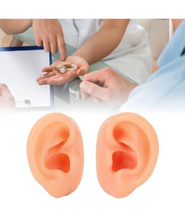 Silicone Human Ear Model for Hearing Aids & Headphones Demonstration | Artificial Ear Display for Lectures & Simulation - Buy Online on GoSupps.com