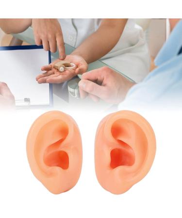 Soft Waterproof Ear Display Model | Simulated Model for Doctors & Centers - Buy Online on GoSupps.com