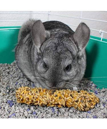 Vitakraft Chinchilla Treat with Honey Flavor & Added Calcium - 2 Sticks - Buy Online on GoSupps.com
