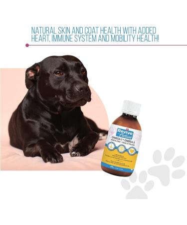 Revive Active - Omega 3 Liquids for Dogs and Cats 473ml Skin and Coat Supplement - Promotes Cognative Health Maintain Well Being -Supports Renal and Cardiovascular Funtions. - Buy Online on GoSupps.com