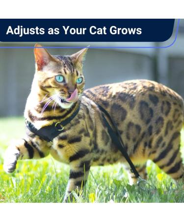 Cat Harness and Leash - Escape Proof Choke Free Lightweight OutdoorBengal - Vest + Lead for Walking Cats (M) Adult Black - Buy Online on GoSupps.com