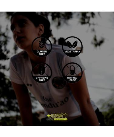 Watt Top 100% Whey Protein Isolate Cocoa Flavor - 750g | Premium International Shipping - Buy Online on GoSupps.com