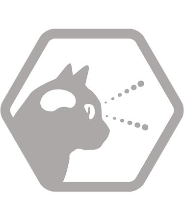 PRO PLAN Cat Junior - Rich in Chicken - 1.5 kg - Cat Food for Kittens - Buy Online on GoSupps.com