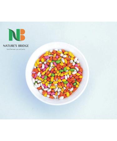 Nature's Bridge Rajasthani Mukhwas Combo Jar Pack of 3 / Multicolor Sweet Saunf Sugar Balls Lakhnawi Saunf Each 200gm / Sweet Fennel / Mouth Fresheners Combo (200 Gm X 3)_Packing May Vary - Buy Online on GoSupps.com