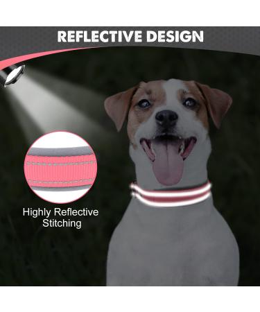 Joytale Softly Padded Neoprene Dog Collar for Small Dogs - Reflective Nylon Pink - 1 Pack - Buy Online on GoSupps.com