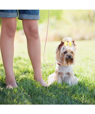 50 Dog Hair Accessories - Pet Hair Clips & Bows for Small Dogs Cats & Puppies - Random Colors - Buy Online on GoSupps.com