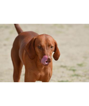 1 kg dog sausage dog food wet food high meat content premium | Dog food beef or poultry (6X 1kg chicken) - Buy Online on GoSupps.com