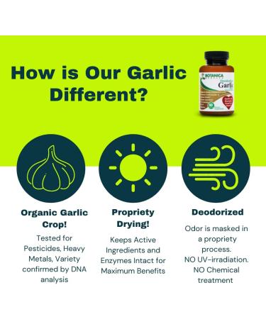 Organic 12400 mcg Allicin Supplement - Odorless & Delayed Release - 3rd Party Tested - 30-60 Days Supply - Buy Online on GoSupps.com