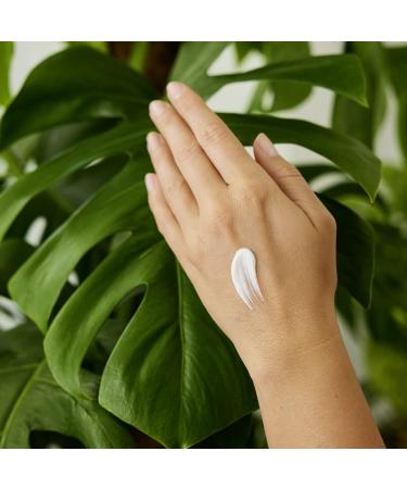 Weleda Unscented Hand Cream 1.7 oz Plant-Based Moisturizer with Jojoba Borage & Coconut Oils for Soft Hands Buy Internationally - Buy Online on GoSupps.com