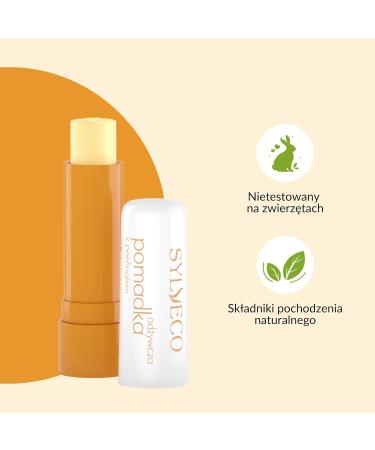 Sylveco Nourishing Lip Balm with Peeling 4.6g - Hydrating Smooth Lips | Shop Internationally - Buy Online on GoSupps.com