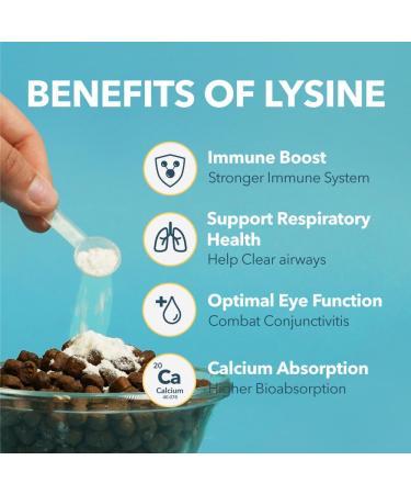 PETPAL L-Lysine Immune and Respiratory Support Supplement for Cats | Pure Bioactive Lysine + | Eye Function Runny Nose Sneezing Feline Conditions | Easy to Serve | Cats of All Ages | 4oz / 120g WT - Buy Online on GoSupps.com
