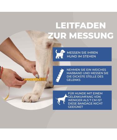 NATURE PET Dog Carpal Splint/Dog Carpal Joint Protection Splint/Dog Support Brace Carpolock Medium Grey - XL - Buy Online on GoSupps.com