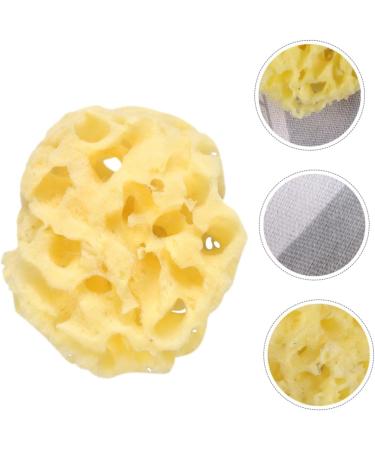 PRETYZOOM 10 Pcs Natural Children's Bath Sponge Balls - Exfoliating Shower Tools & Body Scrubbers for Kids - Honeycomb Design Ideal Bathing Supplies for a Relaxing Bath Experience - Buy Online on GoSupps.com