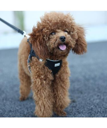 Suredoo Reflective Dog Harness & Leash Set for Small Dogs Puppies & Cats - Anti-Train Design Black Large - Buy Online on GoSupps.com