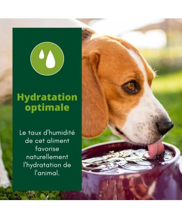 EQUILIBRE & INSTINCT - Puppy - Poultry Wet Food Pat - Supports Growth - Complete Recipe Formulated with Veterinarians - 11x150g - Made in France - Buy Online on GoSupps.com