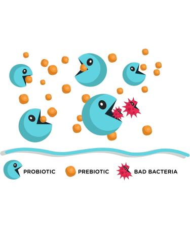 Lean & Pure Greens Superfood Powder | Vegan Non-GMO Gluten-Free | 50 Servings 922g Pea Protein - Buy Online on GoSupps.com