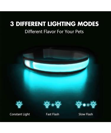 Masbrill Luminous Dog Collar - Waterproof LED Adjustable Light-Up Band for Small Medium & Large Dogs (28-40cm) - 3 Light Modes - Black - Buy Online on GoSupps.com