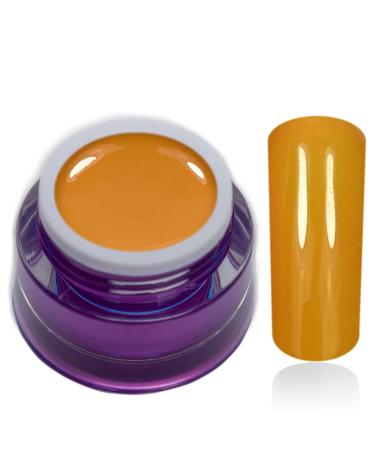 Color Gel Sweet Papaya Orange Yellow Uv Led Nail Gel Studio Quality Color Gel RM Beautynails 1 Pack (1x 5ml)