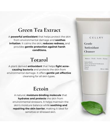 CELLVY Gentle Antioxidant Cleanser Daily Anti-Aging Hydrating Korean Taiwanese Face Wash Nourishing Balancing and Removes Impurities Formulated w/Antioxidants & Green Tea Extract - Buy Online on GoSupps.com