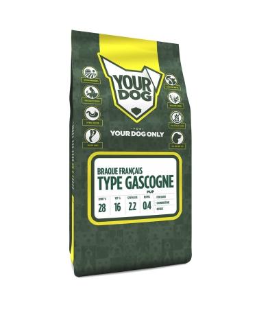Yourdog Braque Francais Type Gascogne Pup-6 KG