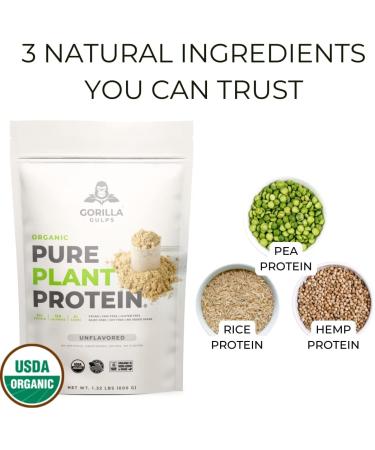 Gorilla Gulps 100% Organic Pure Plant Protein Powder | USDA Certified | Organic Protein Powder | Vegan | Non-GMO | Sugar Soy Dairy & Gluten Free | 20 Servings - Unflavored Unflavored 1.32 Pound (Pack of 1) - Buy Online on GoSupps.com