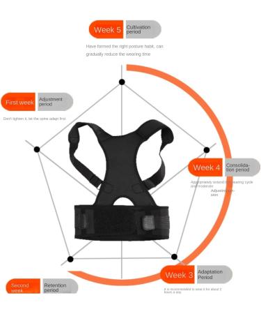Posture Correction Back Support for Men & Women - Adjustable Lumbar Spine Straightener | Wangjinjie Black Back Corrector - Buy Online on GoSupps.com