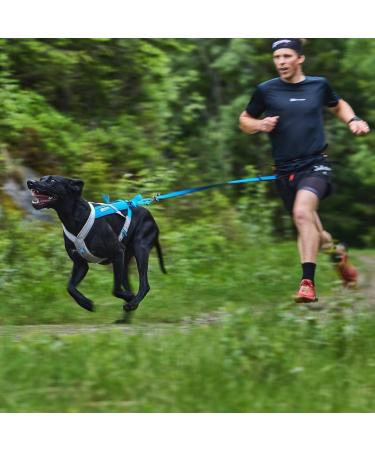 Non-stop Dogwear Bungee Leash LTD - 2m Canicross Leash for Dogs | Blue | International Shipping - Buy Online on GoSupps.com
