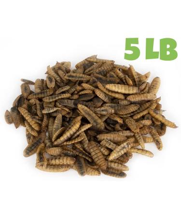 5 lbs North American Grown Dried Black Soldier Fly Larva - High Calcium Treats for Chickens, Wild Birds, and Reptiles - Buy Online on GoSupps.com