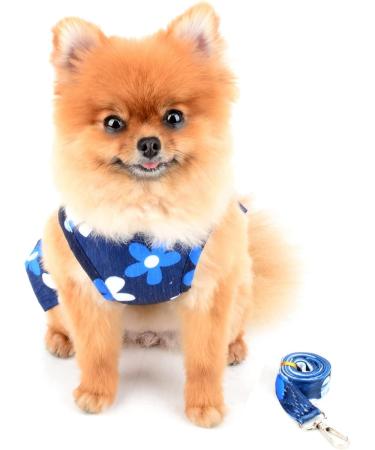 Paidful Dog Harness Dress for Small Dogs & Cats | Colorful Floral Tutu Rock Mesh | Breathable Pet Clothing with 1.6m Leash | Perfect for Mini Puppies & Yorkies | Spring Blue XL - Back Length 35cm Bust 47cm - Buy Online on GoSupps.com