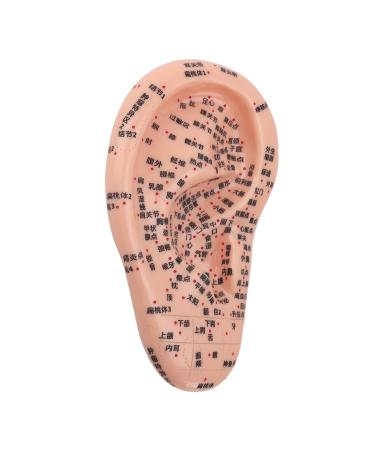 Ear-acupuncture model PVC clear lettering versatile soft human acupuncture point model flexible for home use for the lessons