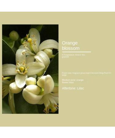 Halloween Starry Sky Pumpkin Cup Aromatherapy Candle | Perfect Halloween Gift | Free Shipping Worldwide - Buy Online on GoSupps.com