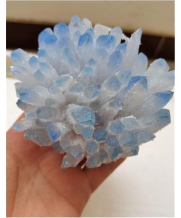 Rare Beautiful Blue Ghost Phantom Quartz Crystal Cluster Specimen Decoration Crystal Cluster (Size : 400-500 g) - Buy Online on GoSupps.com