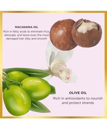 HASK Macadamia Oil Moisturizing Shampoo - Coconut Scent 12 oz | Nourish & Hydrate Hair - International Shipping Available - Buy Online on GoSupps.com