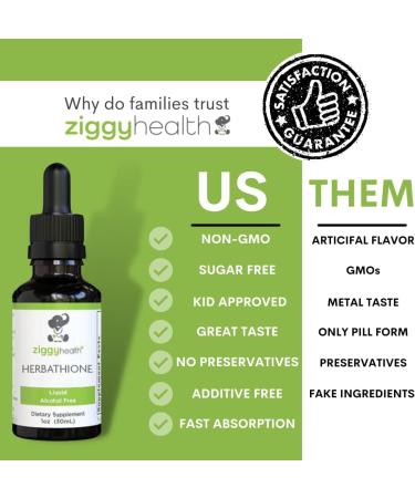 Ziggy Health Herbathione Organic Tincture - Glutathione Supplement for Immune Support Liver Detox & Antioxidant Boost - Gluten Free 1oz - Buy Online on GoSupps.com