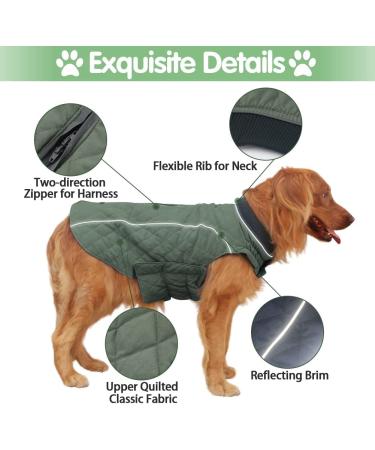 EMUST British Style Windproof Warm Dog Jacket for Winter - Green | Dog Apparel for Cold Weather - 7 Sizes, 13 Colors - Buy Online on GoSupps.com