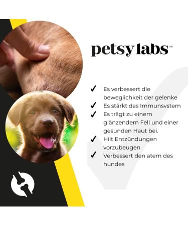 Petsy Labs Canine Booster - Green Lip Mussel Powder (6 x 150g) | Dietary Supplements for Dogs | Boost Immune System & Joint Mobility - Buy Online on GoSupps.com